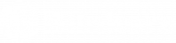 Blinkers_logo_white